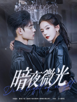 暗夜微光（86集）男主角是谁