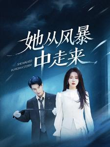她从风暴中走来（60集）全集完整版