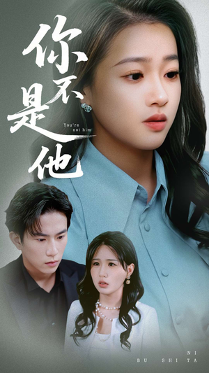你不是他（70集）在线免费观看