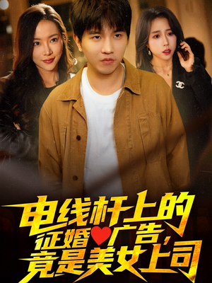 电线杆上的征婚广告，竟是美女上司（90集）红果免费短剧