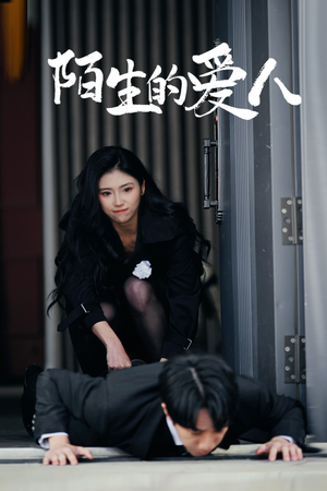 陌生的爱人（60集）演员表