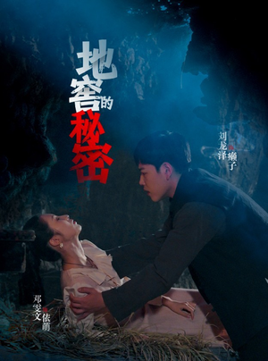 地窖的秘密（40集）在线看完整版