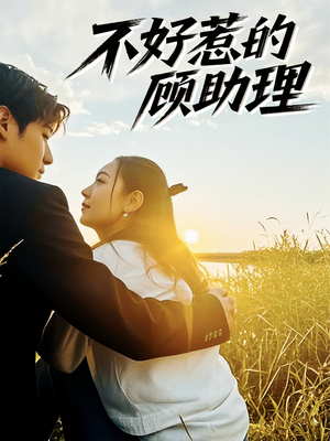 不好惹的顾助理（67集）这部短剧太好看