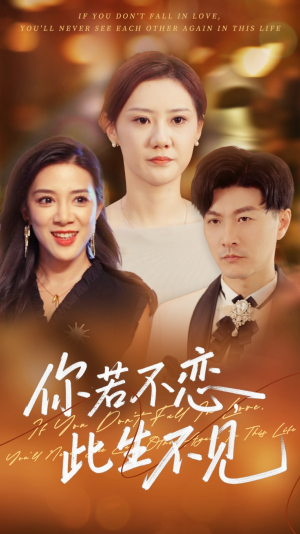 你若不恋此生不见（70集）在线看