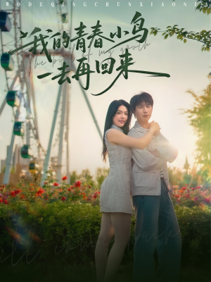 我的青春小鸟一去再回来（95集）免费观看就是爽