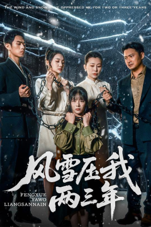 风雪压我两三年（50集）第二季