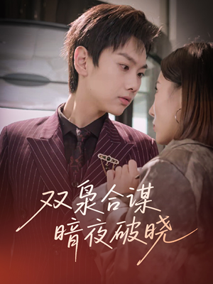 双枭合谋暗夜破晓（30集）高分佳作免费看