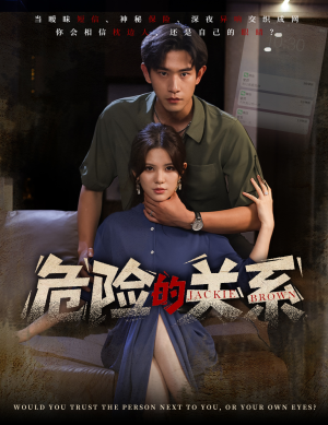危险的关系（55集）全剧免费观看