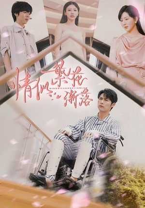 情似繁花渐落（62集）全集