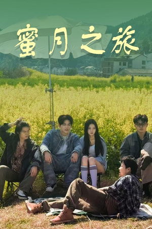 蜜月之旅（35集）百度在线观看