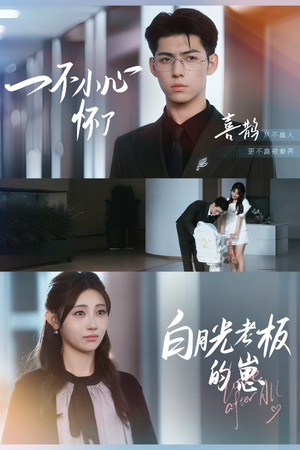一不小心怀了白月光老板的崽（66集）流畅播放免费看