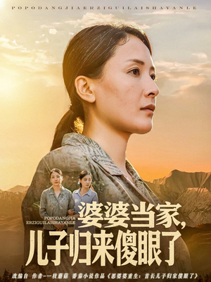 婆婆当家儿子归来傻眼了（80集）在线观看全集