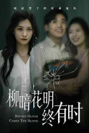 柳暗花明终有时（50集）怎么看全集