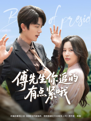 傅先生你追的有点紧哦（95集）免费观看全集