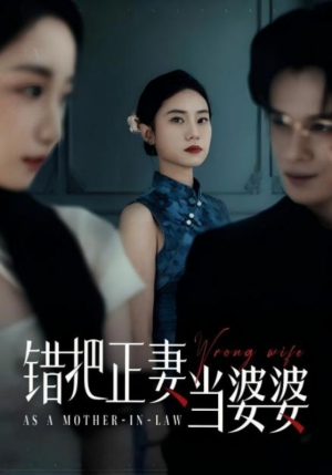 错把正妻当婆婆（46集）精彩片段
