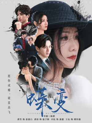 蝶变（70集）80到100集