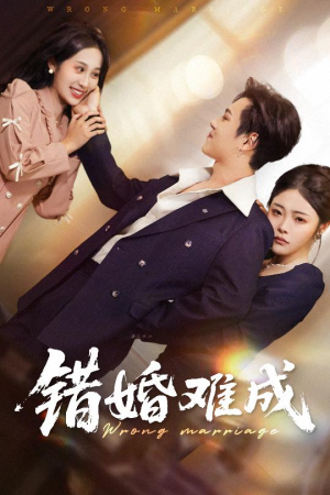 错婚难成（45集）视频在线看