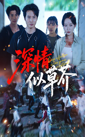 深情似草芥（51集）红果短剧免费看