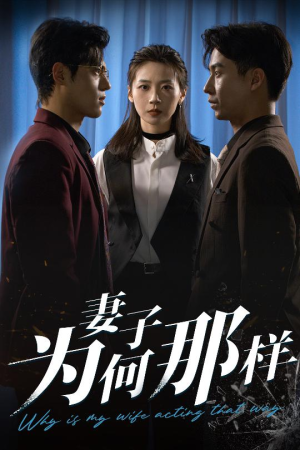 妻子为何那样（60集）百度网盘在线看