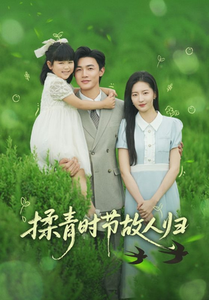 揉青时节故人归（60集）最热短剧抢先看
