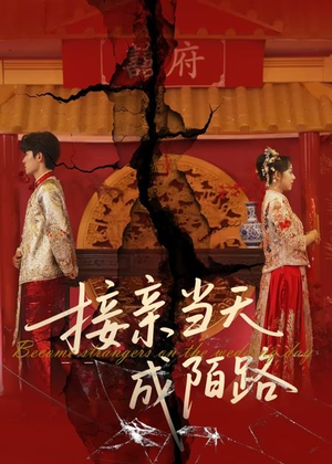 接亲当天成陌路（50集）好看短剧看不停