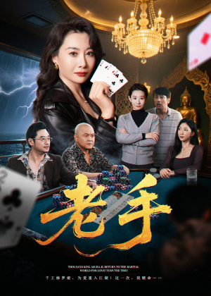 老手（36集）超甜短剧分享