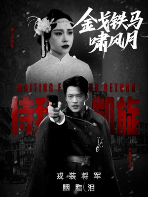 金戈铁马啸风月（54集）精彩短剧推荐