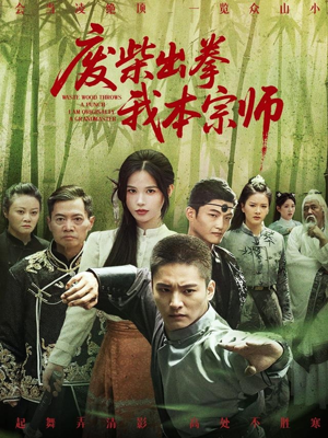 废柴出拳我本宗师（61集）短剧太好看了吧
