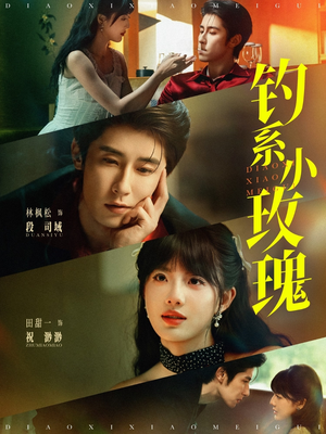 钓系小玫瑰（82集）红果短剧看全集