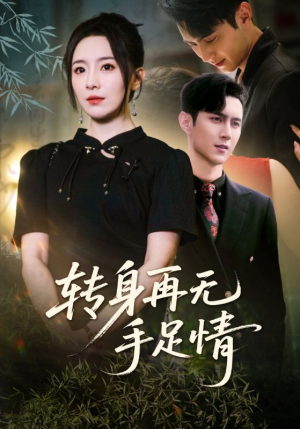 转身再无手足情（71集）好看的短剧电影