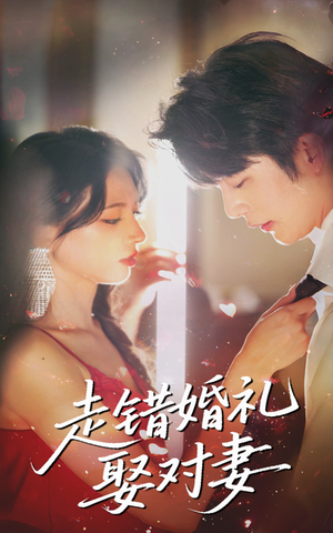 走错婚礼娶对妻（60集红果免费短剧