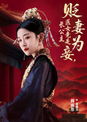 贬妻为妾医女竟是长公主（80集）免费观看完整版