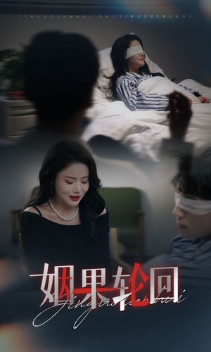 姻果轮回（30集）好看吗