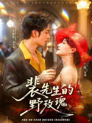 裴先生的野玫瑰（72集）夸克网盘在线看