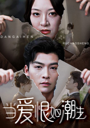 当爱恨如潮生（71集）1-102集