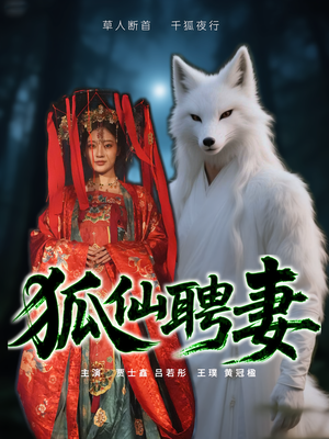 狐仙聘妻（30集）高清画质免费看