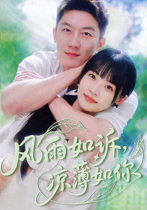 风雨如诉凉薄如你（70集）一起追生活短剧