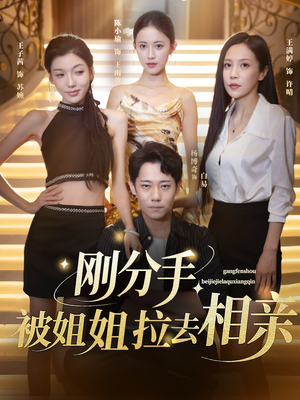 刚分手被姐姐拉去相亲&分手被姐姐拉去相亲（73集）全集
