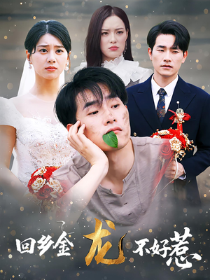回乡金龙不好惹（74集）免费短剧大全