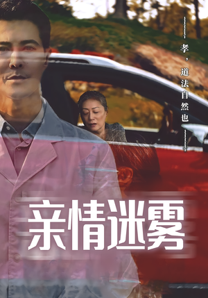 亲情迷雾（30集）全集完整版