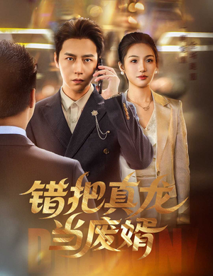 错把真龙当废婿（60集）短剧全集完整