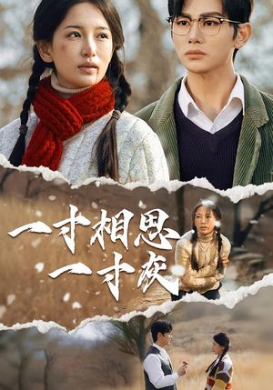 一寸相思一寸灰（43集）高分佳作免费看