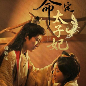 命定太子妃（63集）短剧在线看