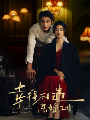 幸得相遇离婚时（81集）全集完整版