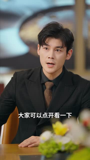 一纸风来认旧痕 (33集) 好看的短剧电影