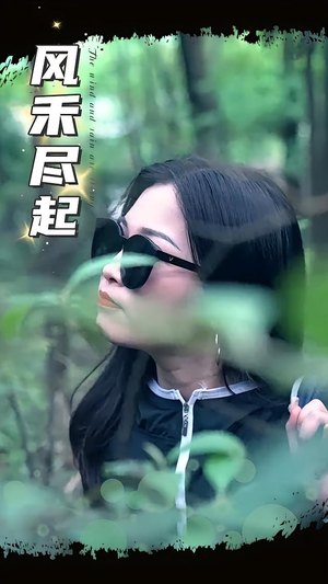 风禾尽起（31集）第一季