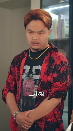 雾海拾星记 (67集) 演的怎么样