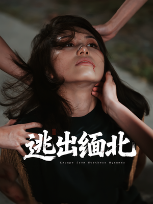 逃出缅北（62集）在线看