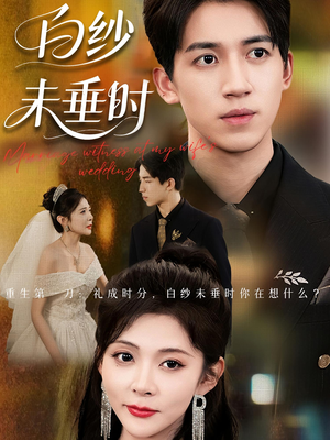 老婆婚礼，我当证婚人&老婆婚礼我当证婚人&白纱未垂时（54集）好看的国产短剧