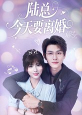 陆总今天要离婚（81集）熬夜追短剧